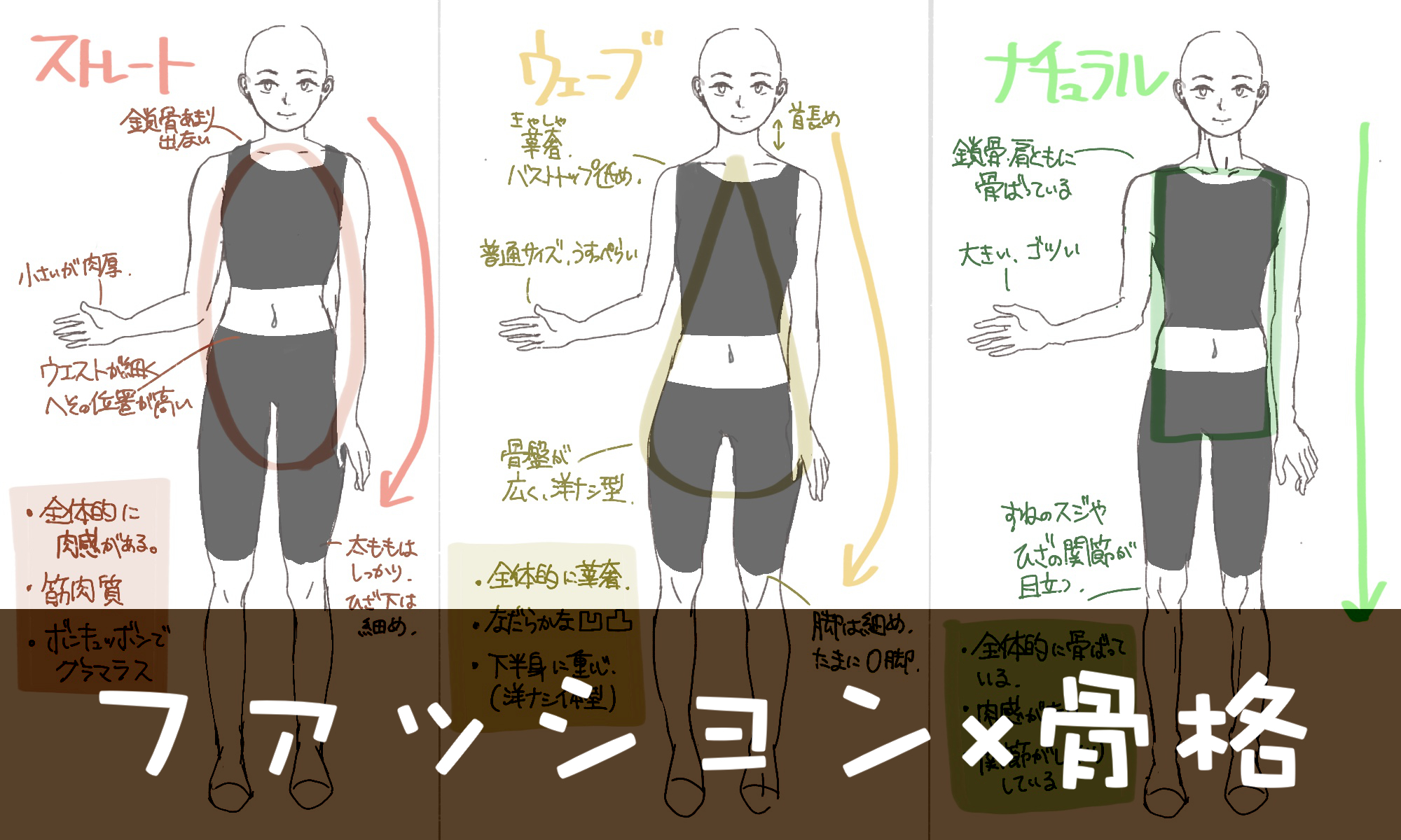 ジェンダーレスファッションで参考になる骨格の３タイプとは イラストで紹介 グラデなライフ